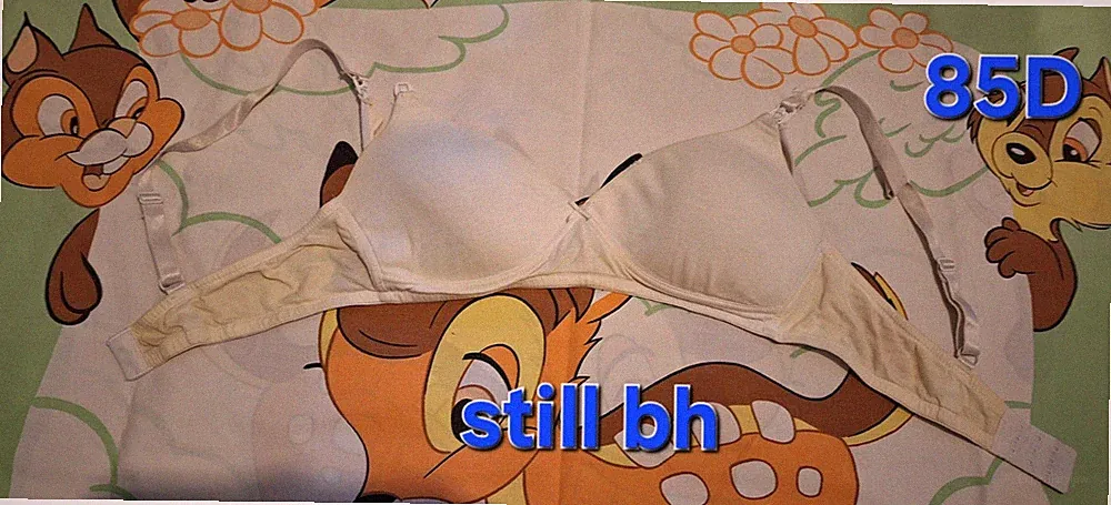 1 Still Bh Mit Gelb Stich