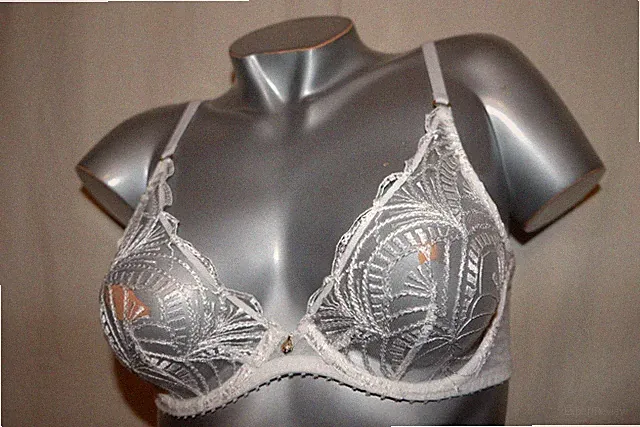 AUBADE Triangel Dekolleté Bügel BH VIBES 2BF12 Stickerei pearl weiß 75B NEU