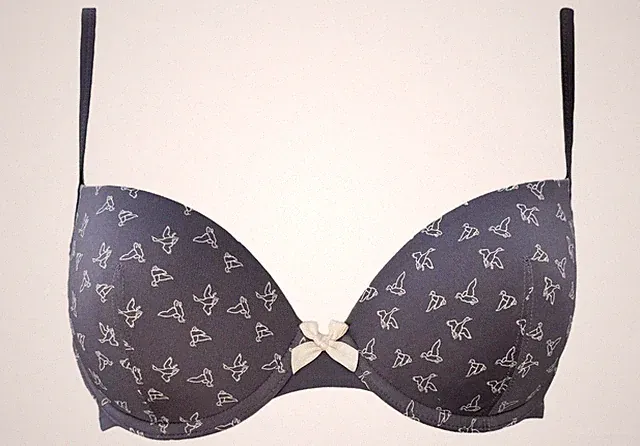 BeeDees gefütterter BH mit Bügel BeeCasual IA 9152 WHPM 70B grau NEU