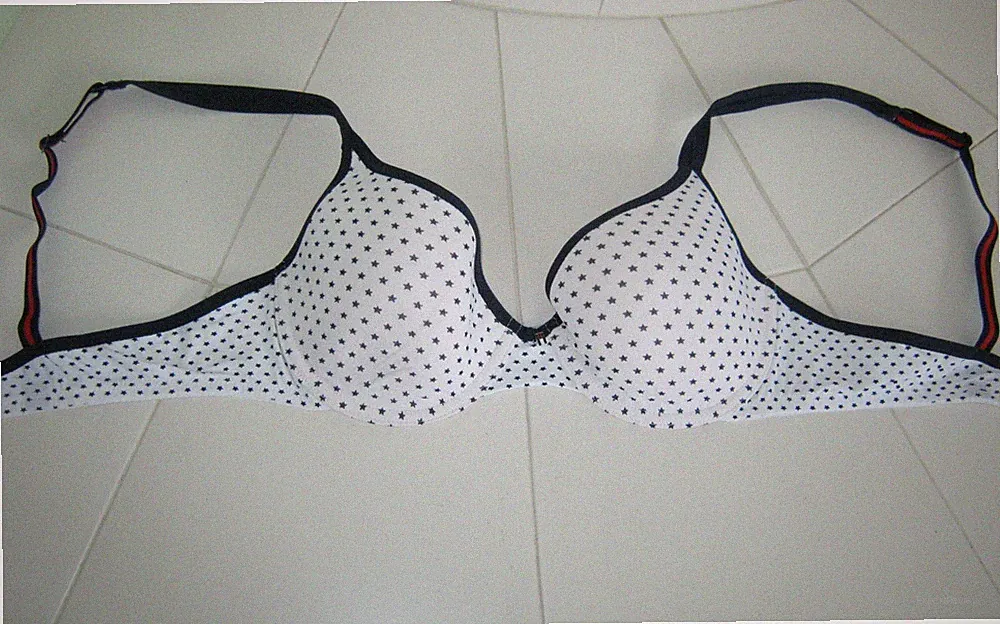 BH Schiesser 80 B