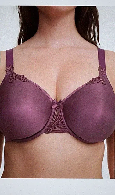 Chantelle BH Größe FR 90D Eur 75D