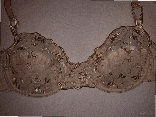 Dessous Reizwäsche Sexy Bra mit Stickerei Spitzen Bügel BH 75B Unterwäsche beige
