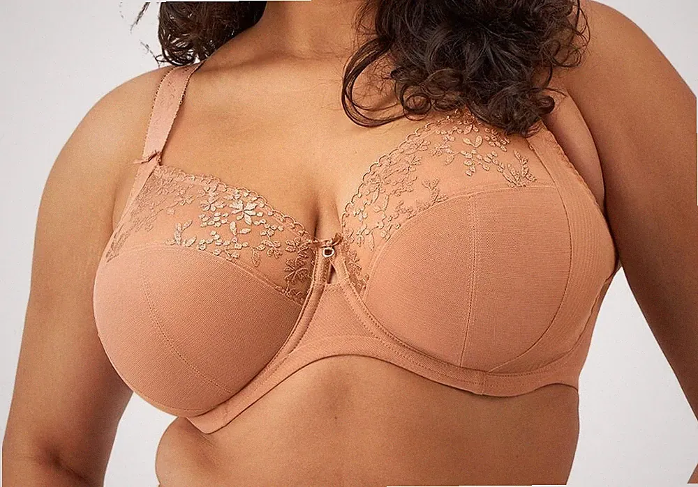 Elomi Zarla BH Beige Spitze Gr. 36K Bügel Seitenstütze Vollschale 302505 Neu