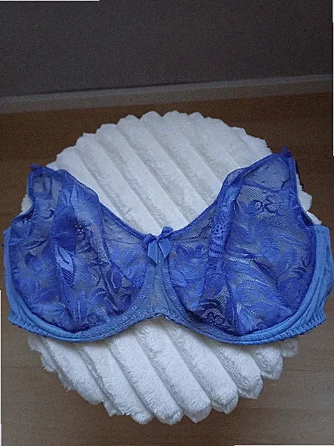 Prima Donna BH 80E wie 75F blau vorgeformt