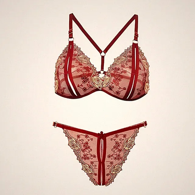 Sexy Dreipunkt Dessous Set Damen offen geschnitten Triangel BH Höschen Nylonmis